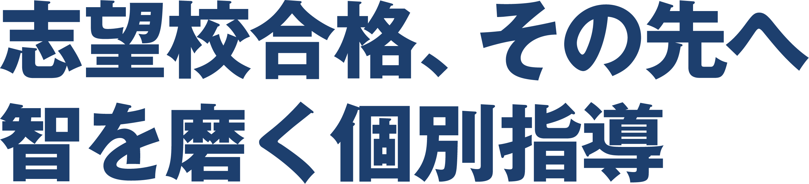 志望校合格、その先へ智を磨く個別指導